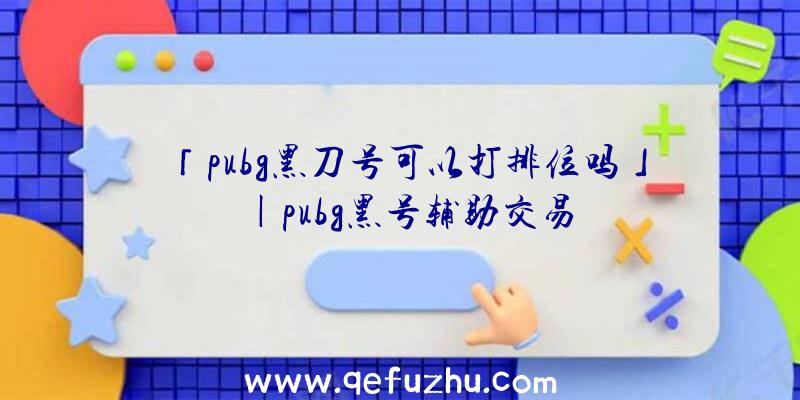 「pubg黑刀号可以打排位吗」|pubg黑号辅助交易